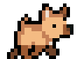 A brown dog walking
